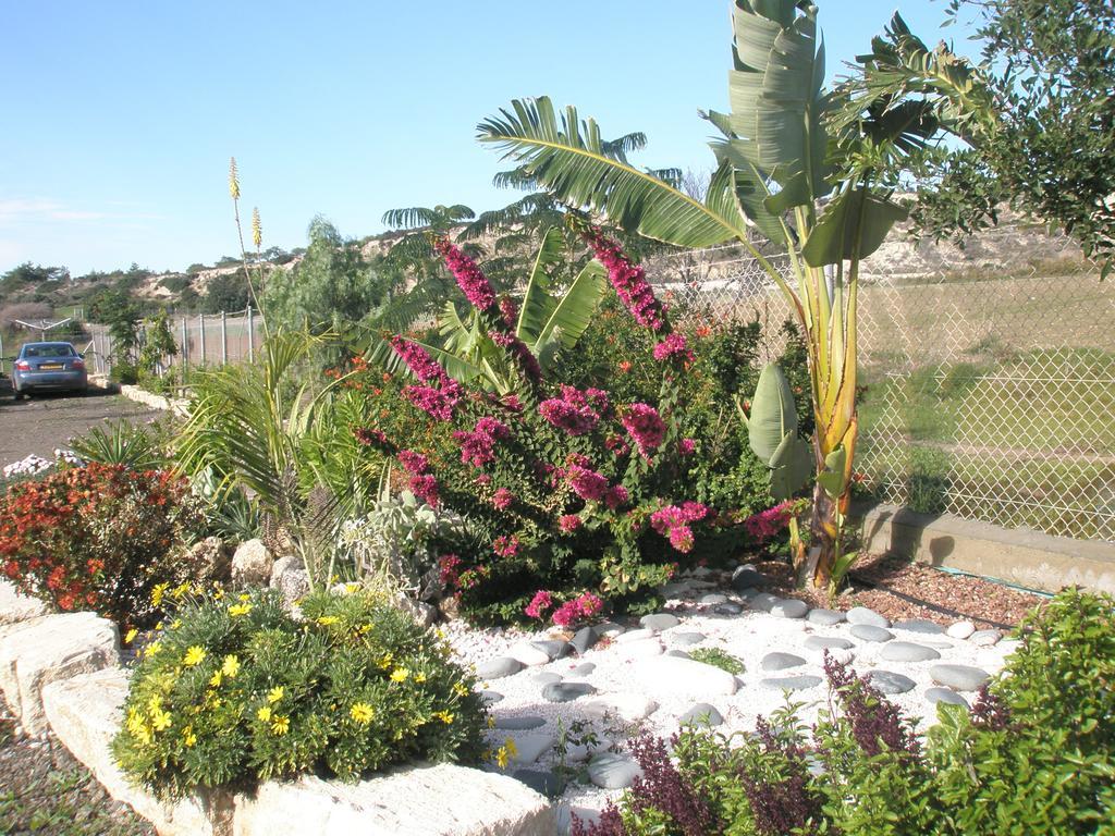 Paradise Traditional House Βίλα Μαρώνι Εξωτερικό φωτογραφία