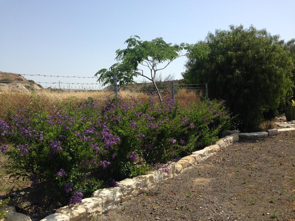 Paradise Traditional House Βίλα Μαρώνι Εξωτερικό φωτογραφία