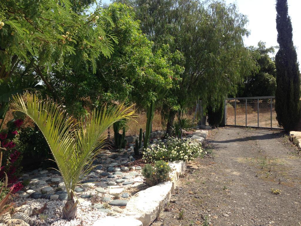 Paradise Traditional House Μαρώνι Εξωτερικό φωτογραφία